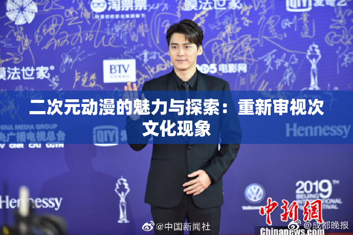 二次元动漫的魅力与探索：重新审视次文化现象