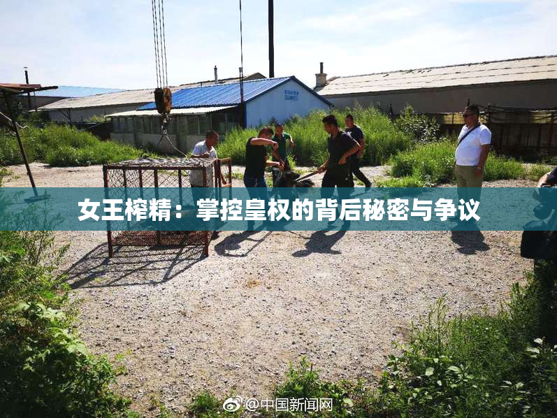 女王榨精：掌控皇权的背后秘密与争议
