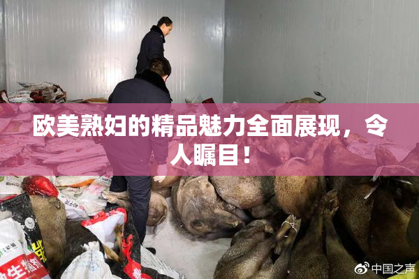 欧美熟妇的精品魅力全面展现，令人瞩目！