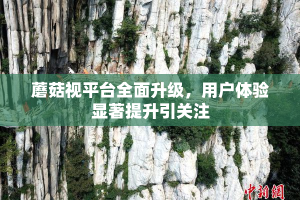 蘑菇视平台全面升级，用户体验显著提升引关注