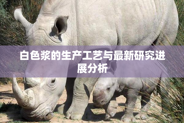 白色浆的生产工艺与最新研究进展分析