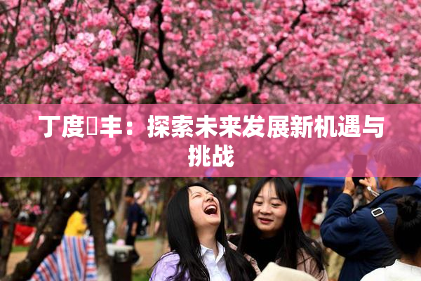 丁度巜丰：探索未来发展新机遇与挑战