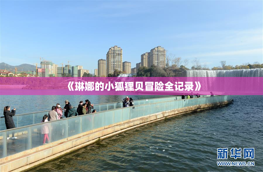 《琳娜的小狐狸贝冒险全记录》