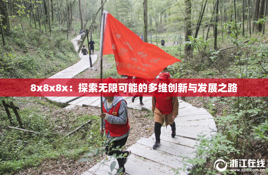 8x8x8x：探索无限可能的多维创新与发展之路