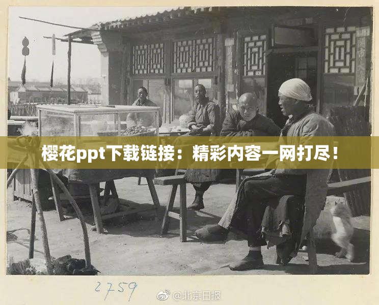 樱花ppt下载链接：精彩内容一网打尽！