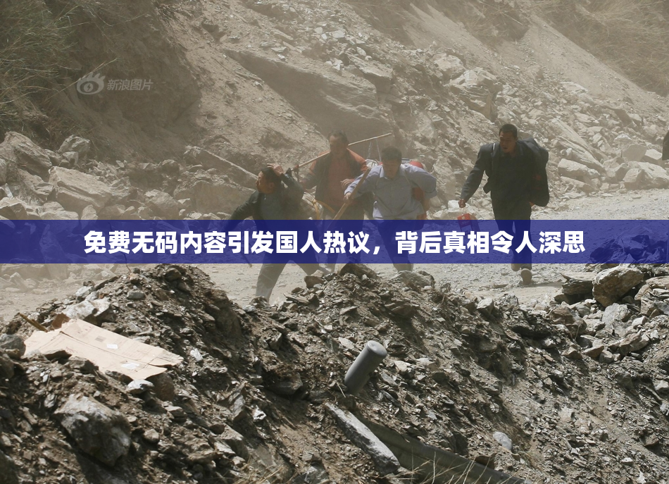 免费无码内容引发国人热议，背后真相令人深思