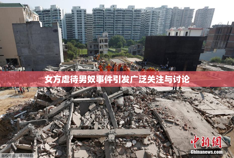 女方虐待男奴事件引发广泛关注与讨论