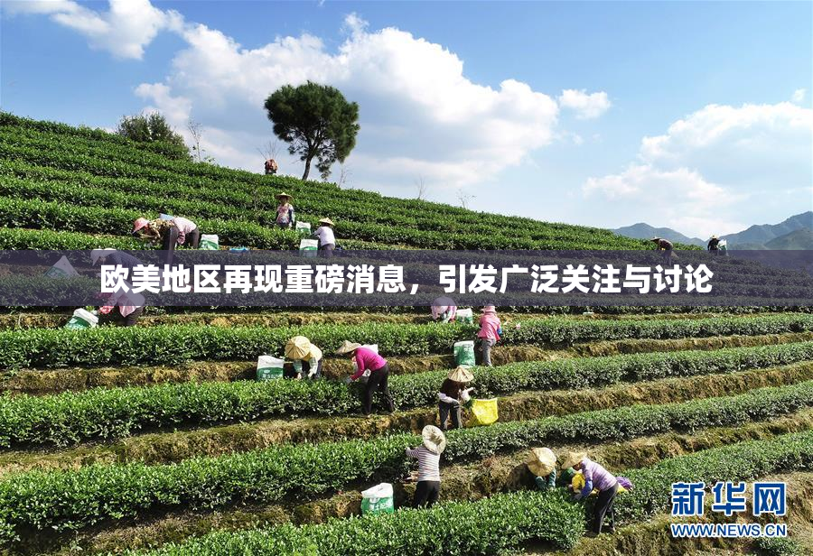 欧美地区再现重磅消息，引发广泛关注与讨论
