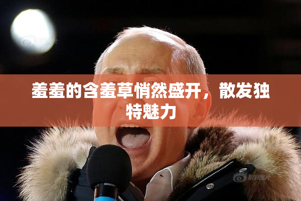 羞羞的含羞草悄然盛开，散发独特魅力