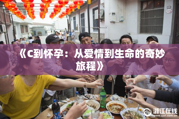 《C到怀孕：从爱情到生命的奇妙旅程》