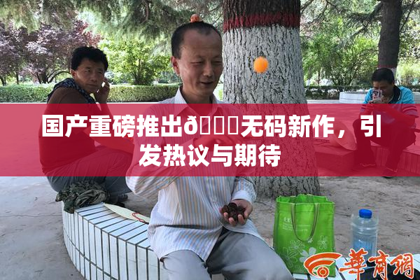 国产重磅推出🔞无码新作，引发热议与期待