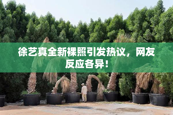 徐艺真全新裸照引发热议，网友反应各异！