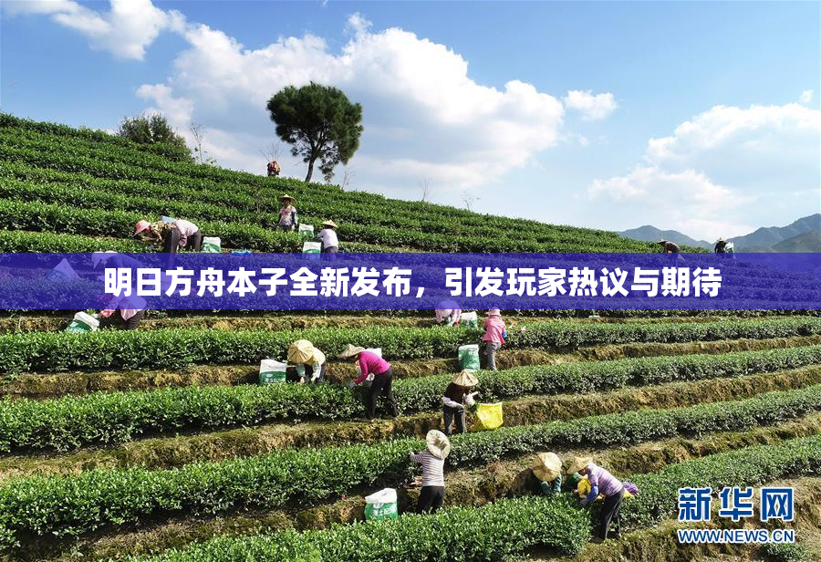 明日方舟本子全新发布，引发玩家热议与期待