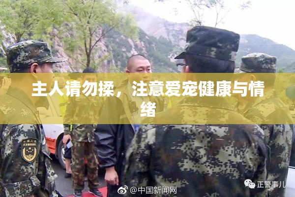 主人请勿揉，注意爱宠健康与情绪