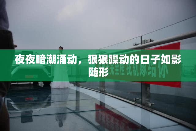 夜夜暗潮涌动，狠狠躁动的日子如影随形