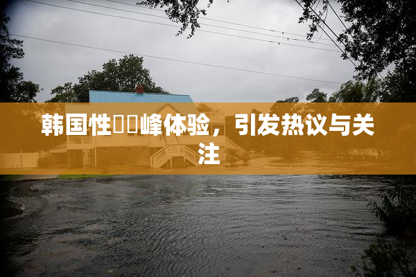 韩国性愛巔峰体验，引发热议与关注