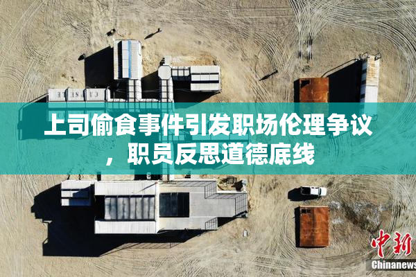 上司偷食事件引发职场伦理争议，职员反思道德底线