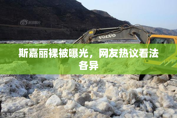 斯嘉丽裸被曝光，网友热议看法各异