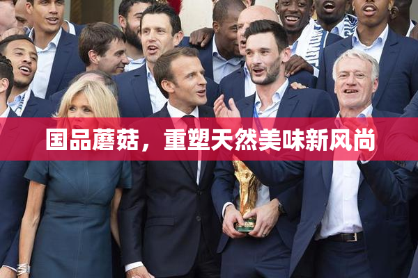 国品蘑菇，重塑天然美味新风尚