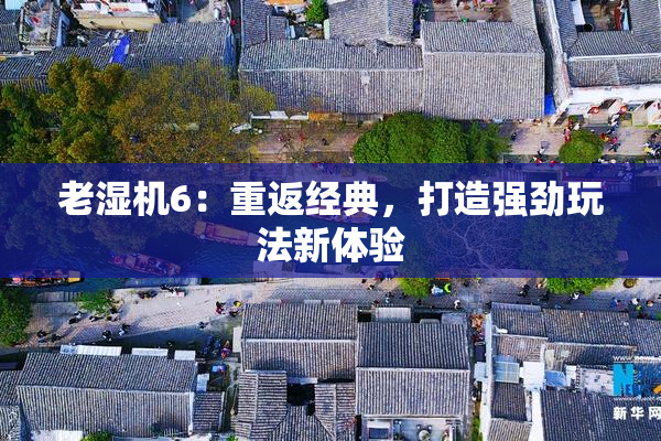 老湿机6：重返经典，打造强劲玩法新体验