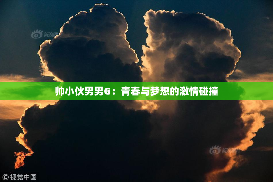 帅小伙男男G：青春与梦想的激情碰撞