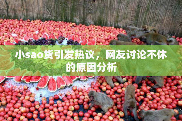 小sao货引发热议，网友讨论不休的原因分析