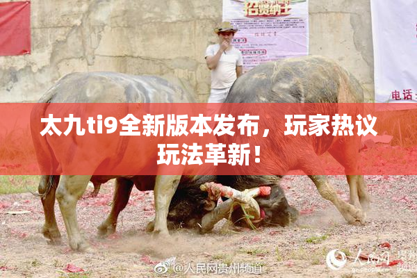 太九ti9全新版本发布，玩家热议玩法革新！