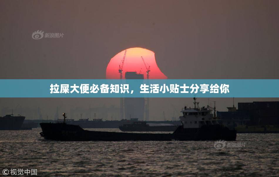 拉屎大便必备知识，生活小贴士分享给你