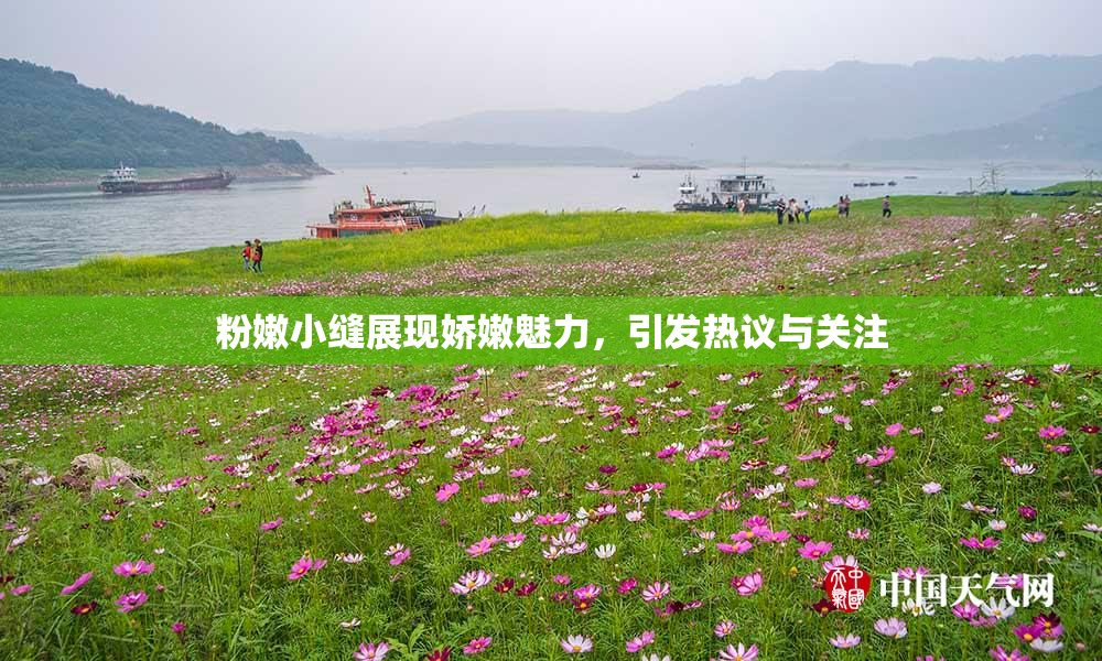 粉嫩小缝展现娇嫩魅力，引发热议与关注