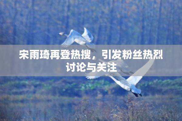 宋雨琦再登热搜，引发粉丝热烈讨论与关注