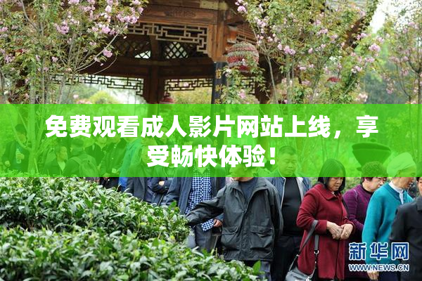 免费观看成人影片网站上线，享受畅快体验！