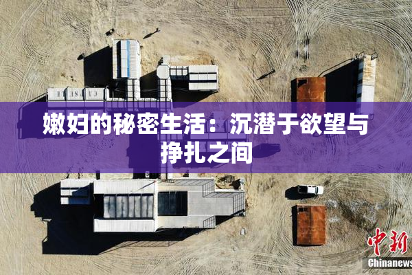 嫩妇的秘密生活：沉潜于欲望与挣扎之间
