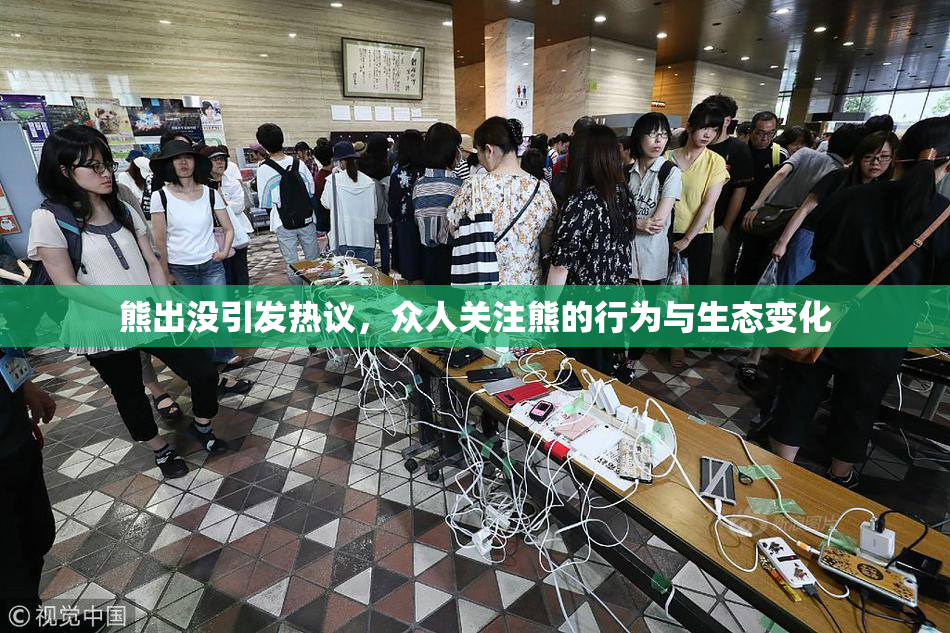 熊出没引发热议，众人关注熊的行为与生态变化