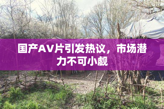 国产AV片引发热议，市场潜力不可小觑