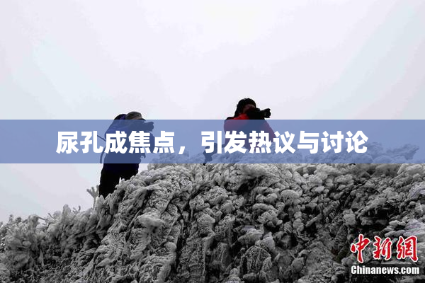尿孔成焦点，引发热议与讨论