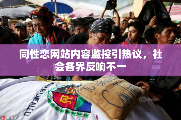 同性恋网站内容监控引热议，社会各界反响不一