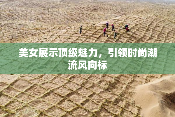 美女展示顶级魅力，引领时尚潮流风向标
