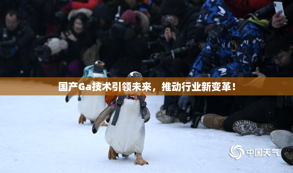 国产Ga技术引领未来，推动行业新变革！