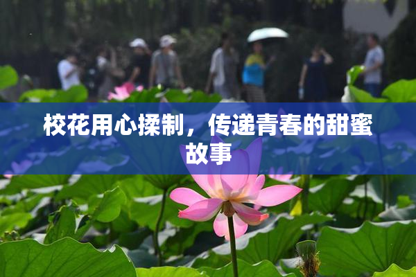 校花用心揉制，传递青春的甜蜜故事