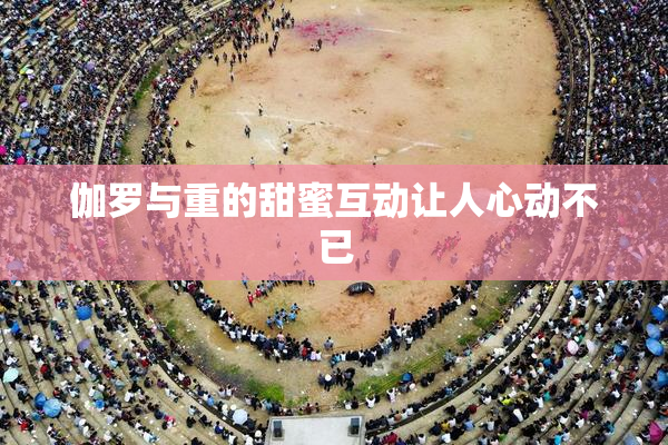 伽罗与重的甜蜜互动让人心动不已