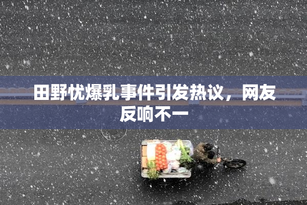 田野忧爆乳事件引发热议，网友反响不一