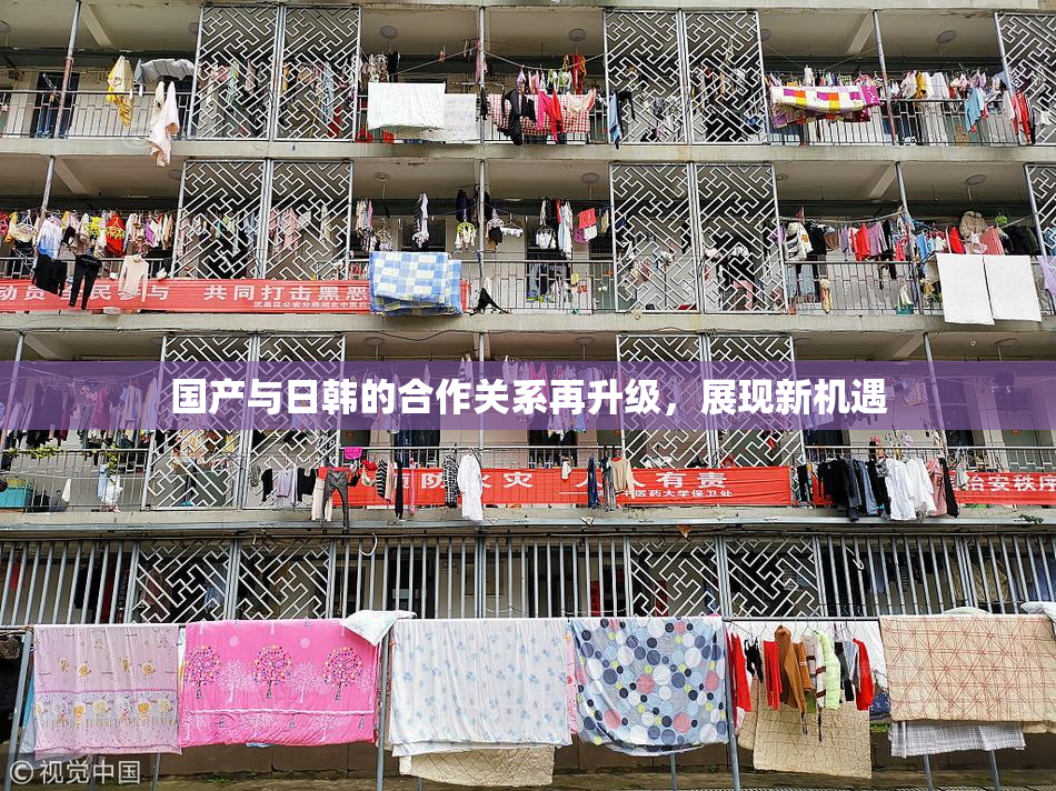 国产与日韩的合作关系再升级，展现新机遇