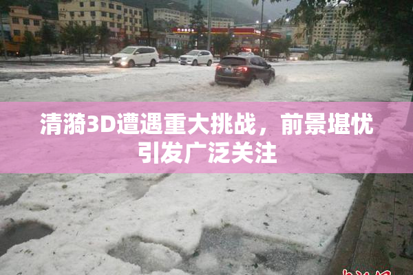 清漪3D遭遇重大挑战，前景堪忧引发广泛关注