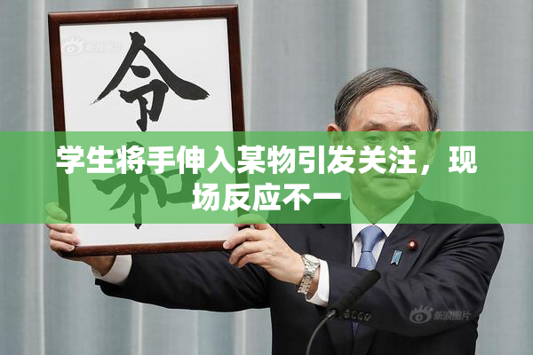 学生将手伸入某物引发关注，现场反应不一