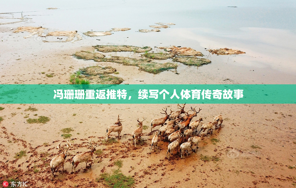 冯珊珊重返推特，续写个人体育传奇故事