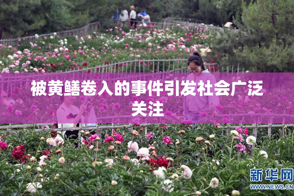 被黄鳝卷入的事件引发社会广泛关注