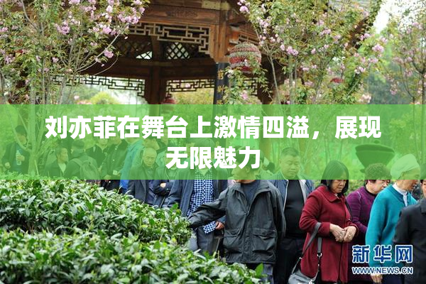 刘亦菲在舞台上激情四溢，展现无限魅力
