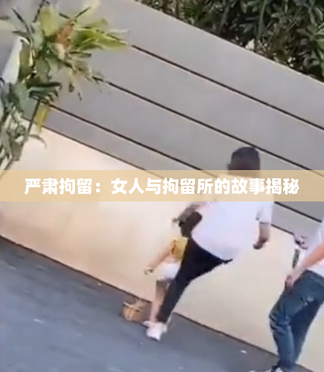 严肃拘留：女人与拘留所的故事揭秘