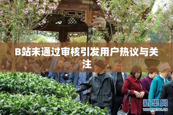 B站未通过审核引发用户热议与关注