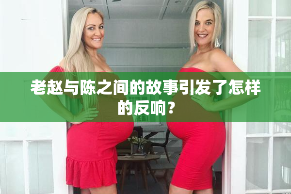 老赵与陈之间的故事引发了怎样的反响？